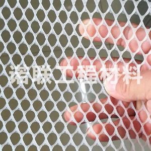 高强土工网