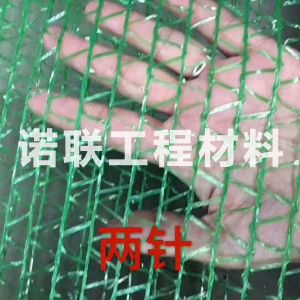 防尘网（两针）